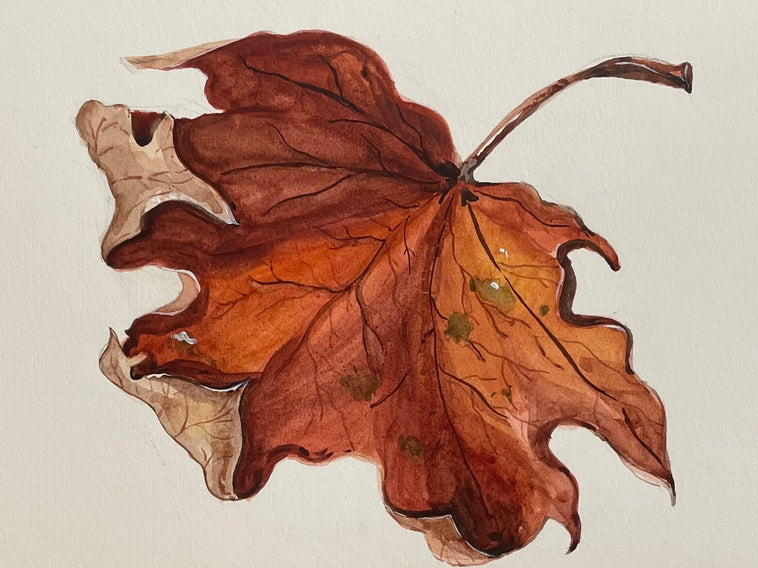 Watercolor Painting Tutorial: A Realistic Maple Leaf