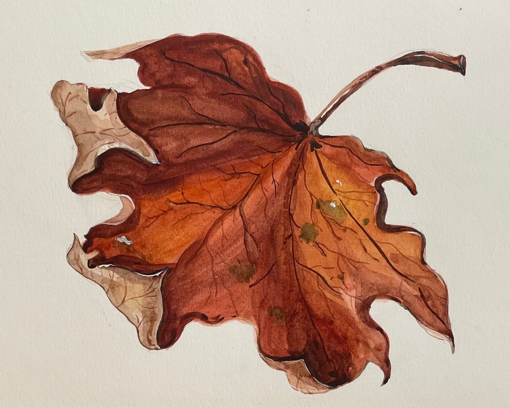 Watercolor Painting Tutorial: A Realistic Maple Leaf