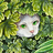 <p>calmforeststudio</p>